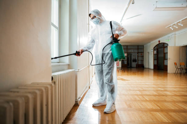 Professional Pest Control in Merrydale, LA